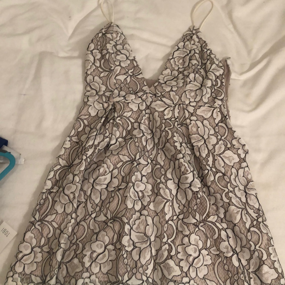 Lace Fit and Flare Dress